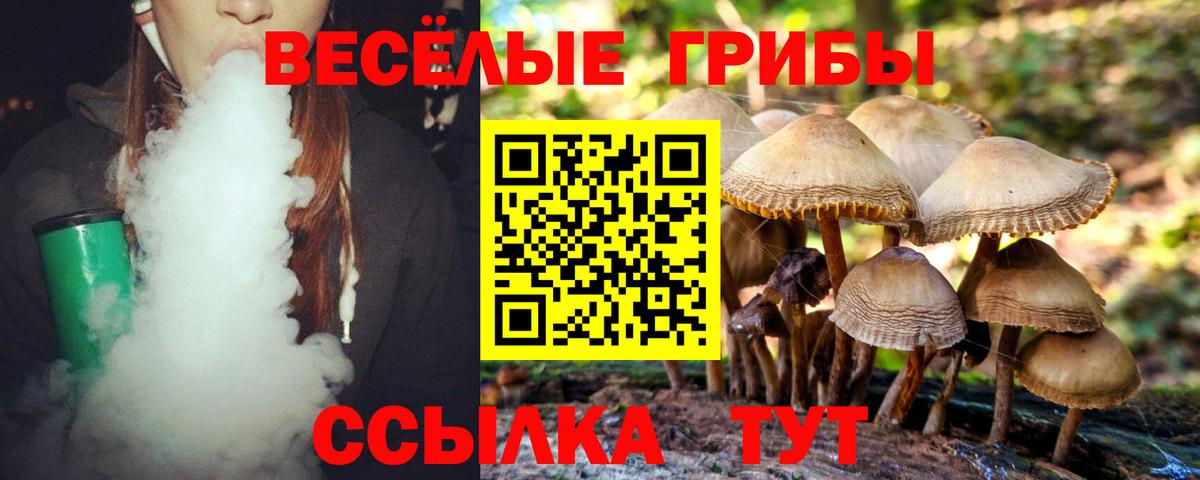 Севастополь  Галлюциногенные грибы MAGIC MUSHROOMS  купить наркотики сайты  Вход с VPN 
